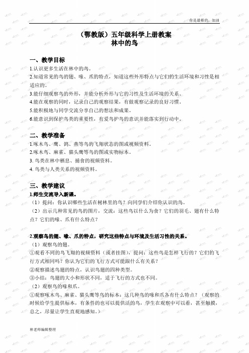 鄂教版小学科学五上《5林中的鸟》word教案 (2)