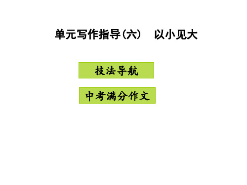 八年级语文上册 第六单元 写作指导 以小见大课件 新人教版.ppt