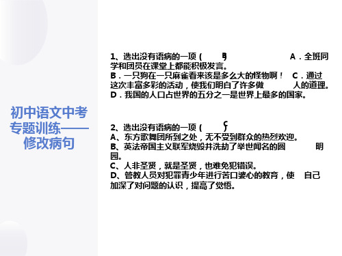 初中语文中考专题训练-修改病句ppt课件