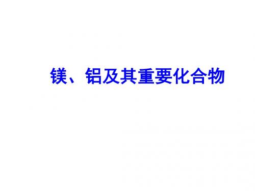 高考一轮复习镁、铝及其重要化合物