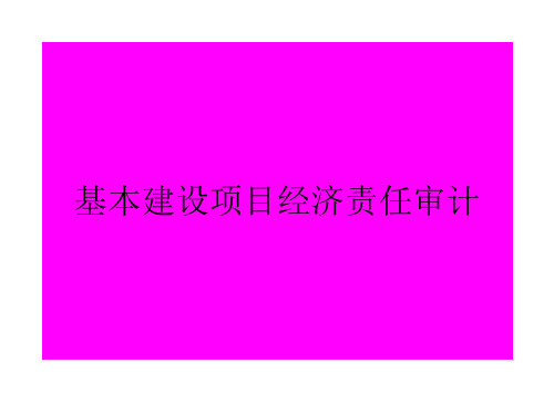 基本建设项目经济责任审计讲义(PPT46页)