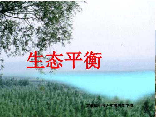 六年级下册科学课件-4.4 生态平衡(29)-苏教版