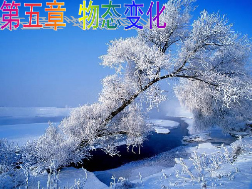 物态变化与温度-八年级物理PPT课件