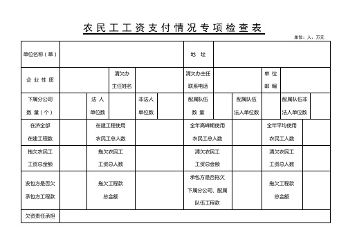 拖欠民工工资检查表2横表