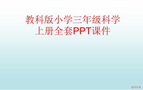 教科版小学三年级科学上册全套PPT课件