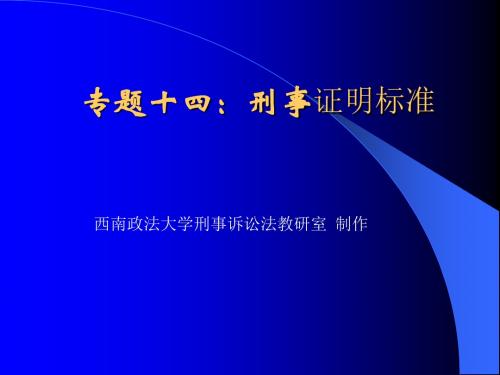 8专题证明标准.