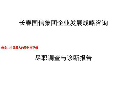 某集团发展战略的尽职调查和诊断报告