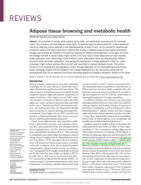 Adipose tissue browning and metabolic health