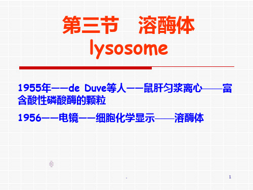 溶酶体ppt演示课件