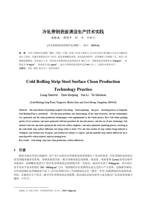 冷轧带钢表面清洁生产技术实践