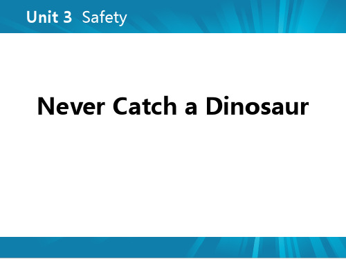 《Never Catch a Dinosaur》Safety