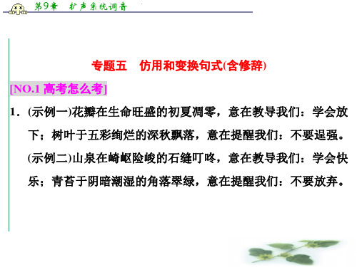 高三语文一轮总复习课件 专题五 仿用和变换句式(含修辞)