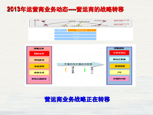 移动集团专线市场发展建议书课件PPT