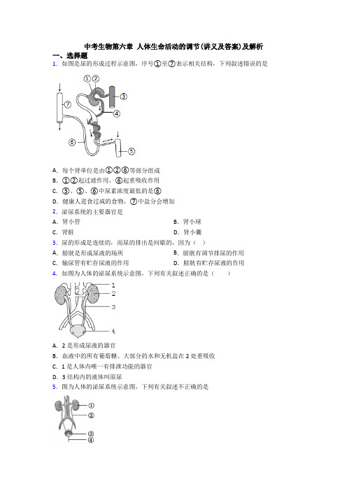 中考生物第六章 人体生命活动的调节(讲义及答案)及解析