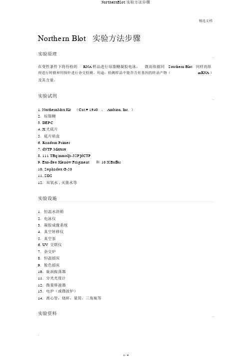 NorthernBlot实验方法步骤