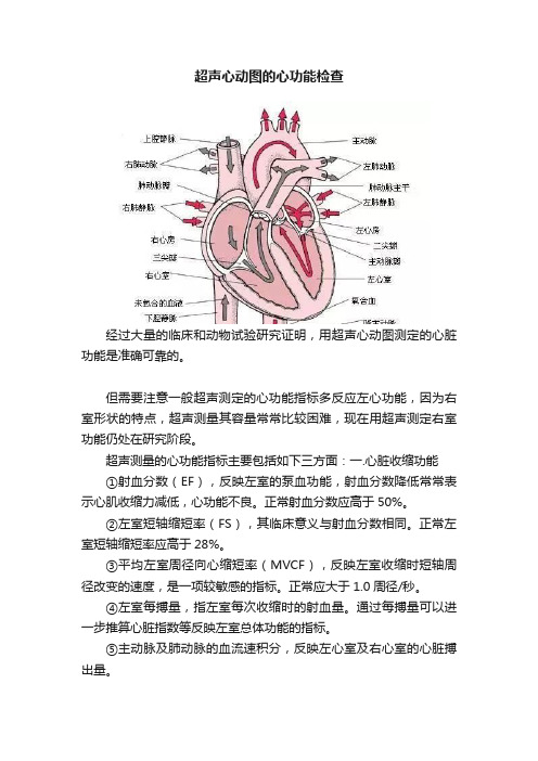 超声心动图的心功能检查