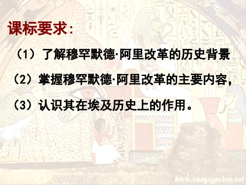 人民版选修一穆罕默德阿里改革课件