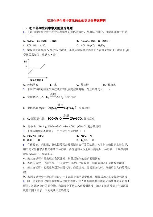 初三化学生活中常见的盐知识点含答案解析