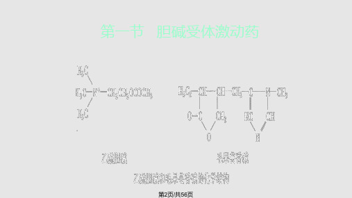 胆碱受体激动药和作用于胆碱酯酶药物