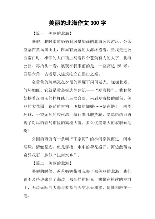 美丽的北海作文300字