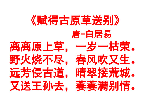 高中语文必修四《琵琶行》鹿守权PPT课件 苏教一等奖优质课获奖比赛公开课教师面试试讲