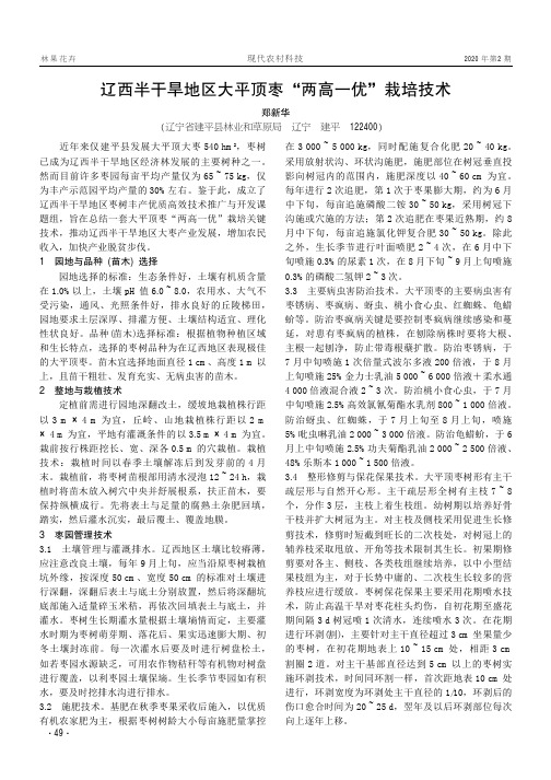 辽西半干旱地区大平顶枣“两高一优”栽培技术