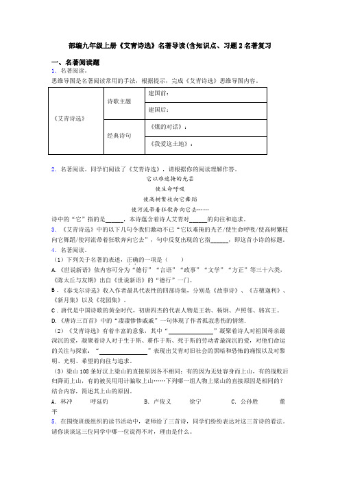 部编九年级上册《艾青诗选》名著导读(含知识点、习题2名著复习