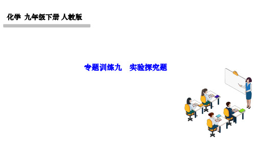 人教版九年级化学下册作业课件 第十二单元 化学与生活 专题训练九 实验探究题