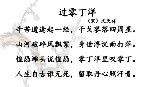 (新)九年级语文部编版下册课外古诗词诵读《别云间》(23页)ppt精品课件