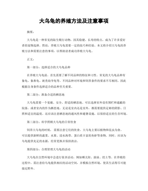 大乌龟的养殖方法及注意事项