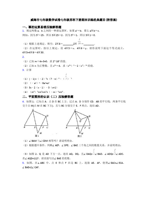 威海市七年级数学试卷七年级苏科下册期末训练经典题目(附答案)