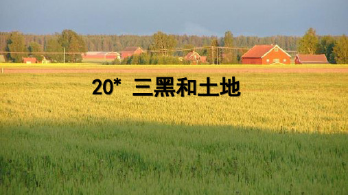 20.三黑和土地