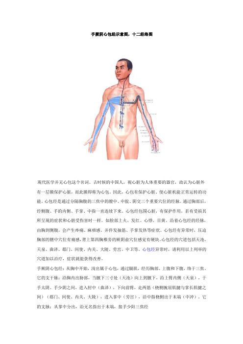 手厥阴心包经示意图及所属穴位