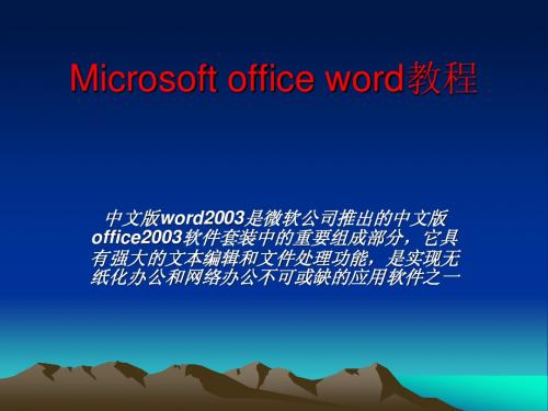 Microsoft office word教程