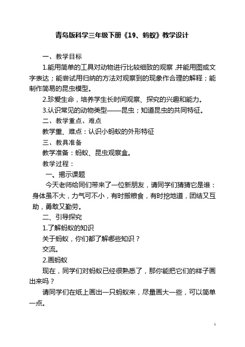 青岛版科学三年级下册《19、蚂蚁》教学设计