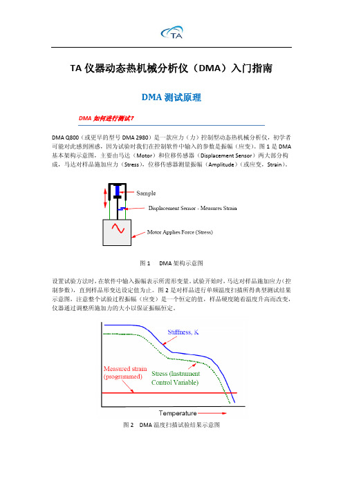 TA仪器DMA入门指南