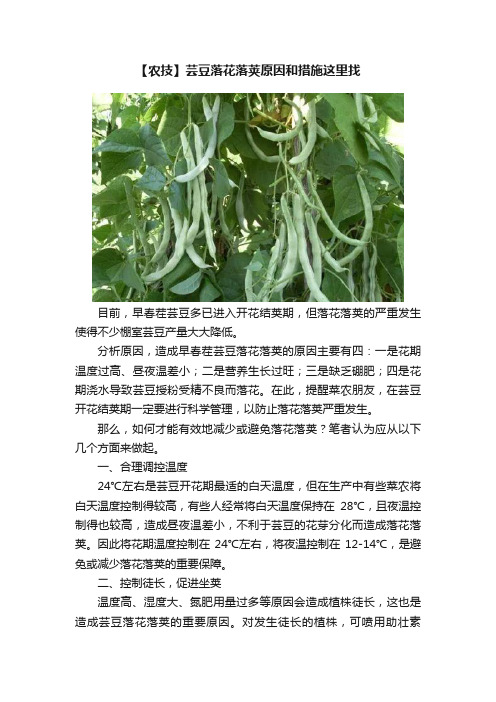 【农技】芸豆落花落荚原因和措施这里找