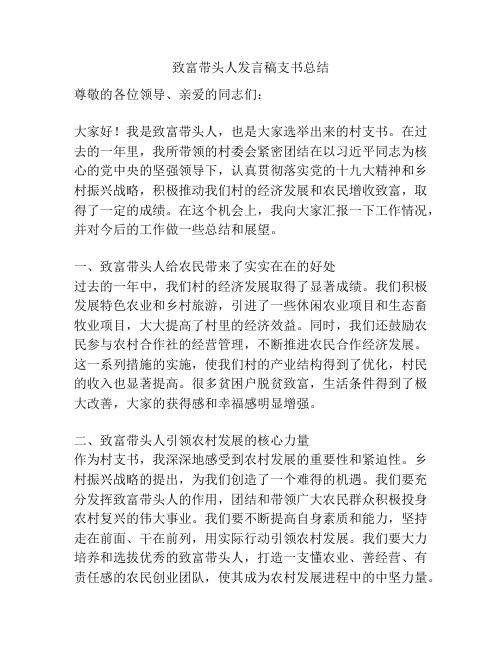 致富带头人发言稿支书总结