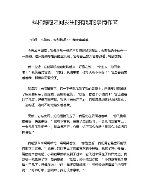 我和鹦鹉之间发生的有趣的事情作文