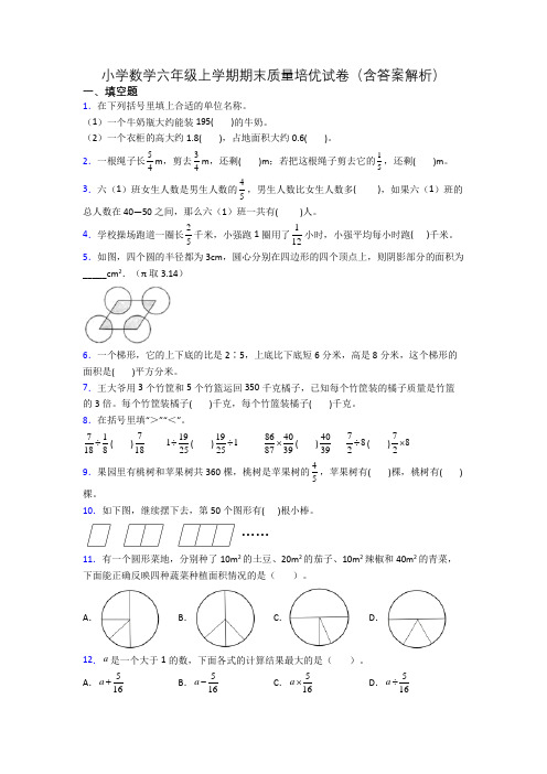 小学数学六年级上学期期末质量培优试卷(含答案解析)