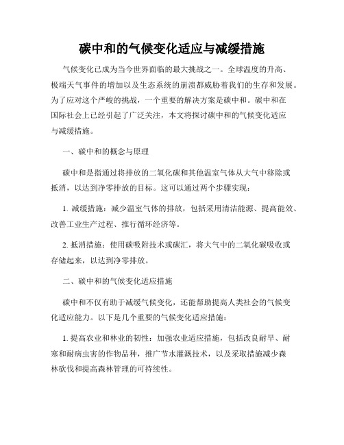 碳中和的气候变化适应与减缓措施