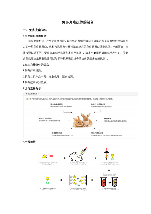 兔多克隆抗体的制备(2020)