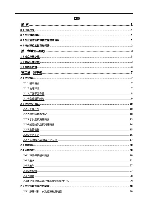 2020年(清洁生产)卓伦审核报告(审定稿)清洁生产