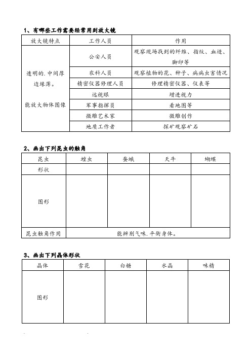 六年级科学(下册)复习画图与填图和实验题