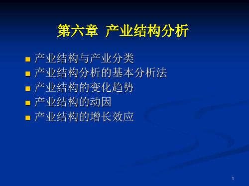 第六章产业结构分析资料