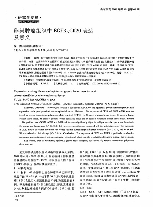 卵巢肿瘤组织中EGFR、CK20表达及意义