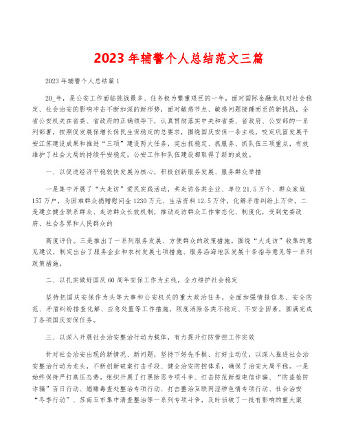 2023年辅警个人总结范文三篇