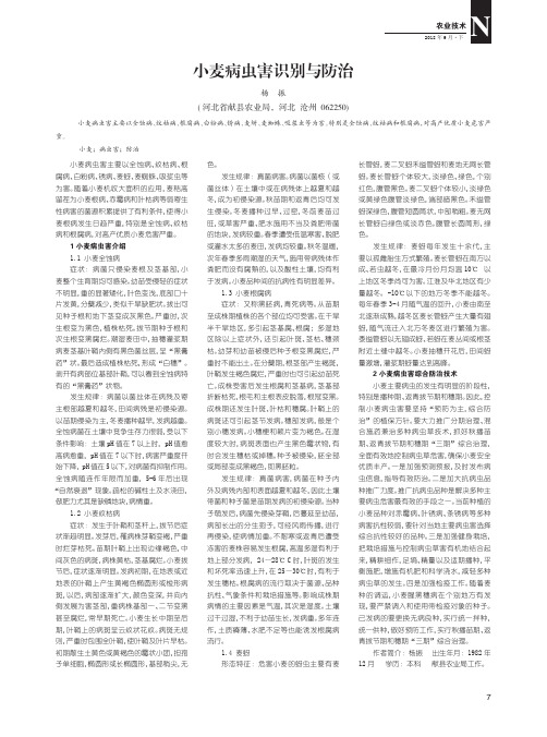 小麦病虫害识别与防治