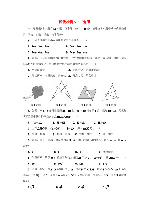 浙江省2018年中考数学总复习三角形试题