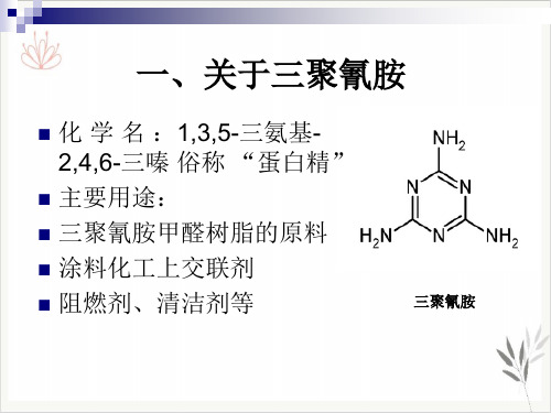 食品中三聚氰胺的检测方法PPT课件